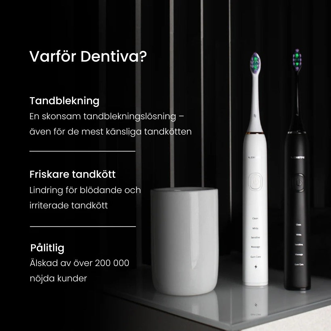 Dentiva 365 Eltandborste