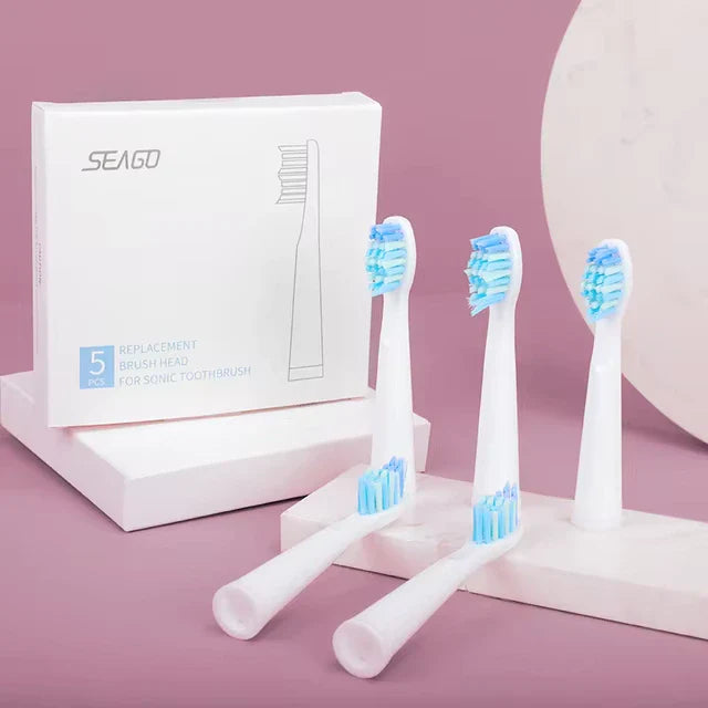 Borsthuvuden för Dentiva 365