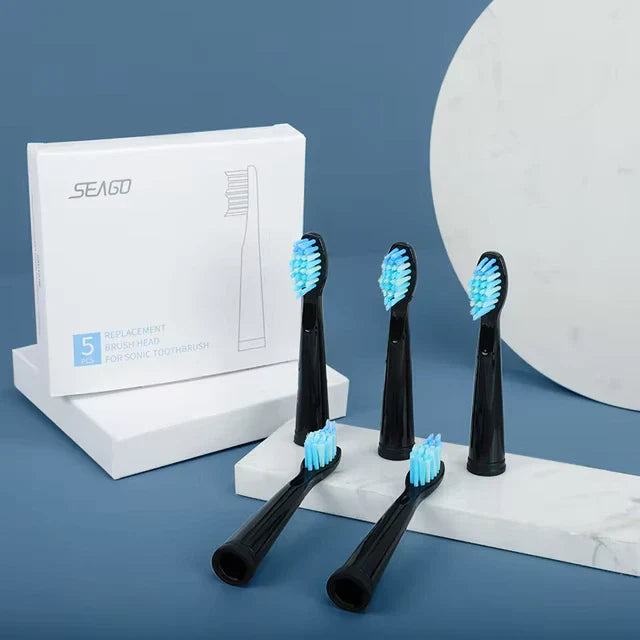 Borsthuvuden för Dentiva 365