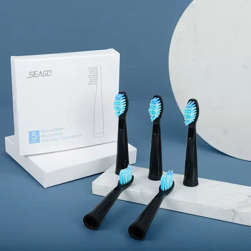 Borsthuvuden för Dentiva 365